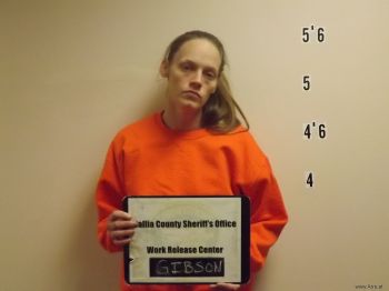 Patricia  Gibson Mugshot