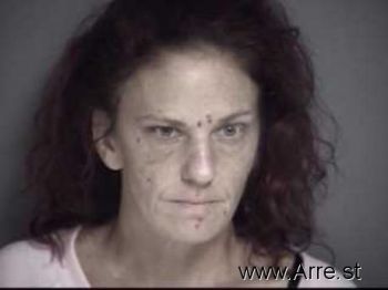 Patricia Ann Johnson Mugshot