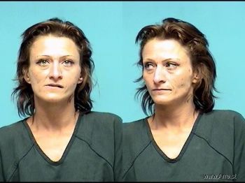 Patricia L Williams Mugshot