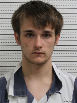 Paul Preston Wells Jr Mugshot