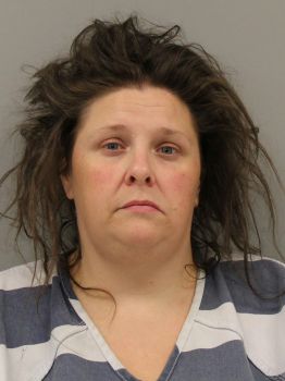 Paula K Arnold Mugshot