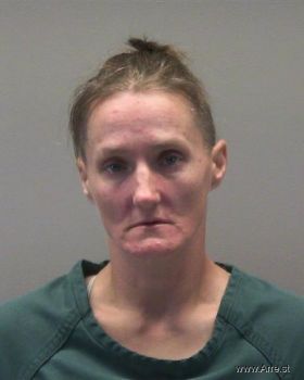 Paula Ann Williams Mugshot