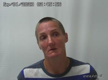 Paula Ann Williams Mugshot