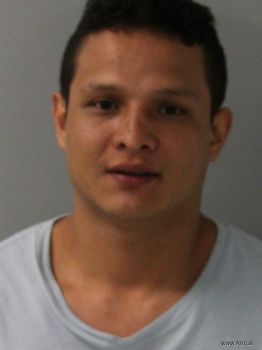 Pedro Osvaldo Flores-torres Mugshot