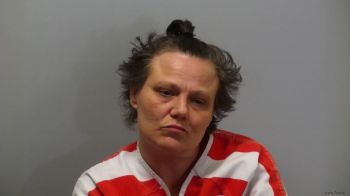 Penny Sue Myers Mugshot