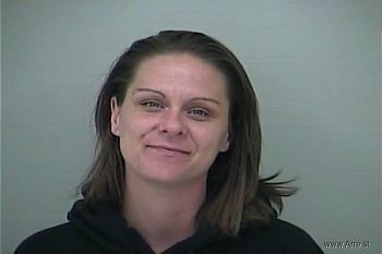 Renee Michelle Andrews Mugshot