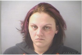 Robyn Nicole Roehm Mugshot