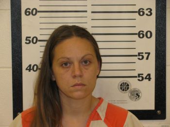 Rachel L Johnson Mugshot