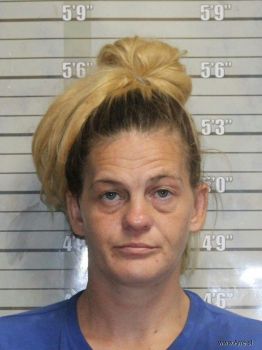 Rachel Sue Napier Mugshot