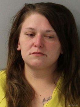 Rachel Dawn Rogers Mugshot