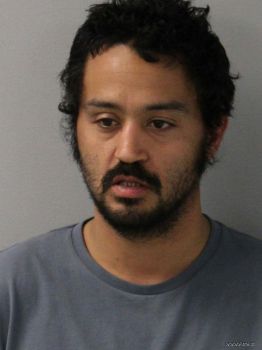 Ramon Luis Figueroa Mugshot