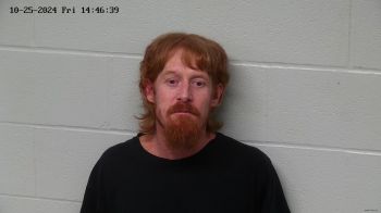 Randal Christopher Vanlieu Mugshot