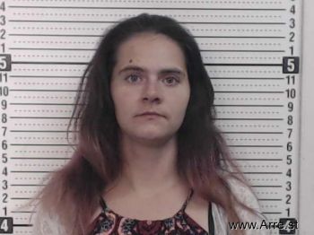 Randi Lynn Barnes Mugshot