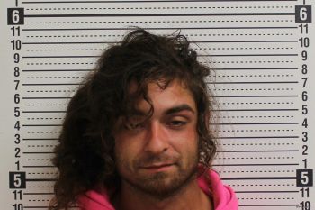 Raven Cane Steele Mugshot