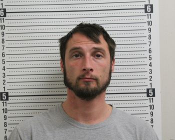 Richard Ward Hays Mugshot