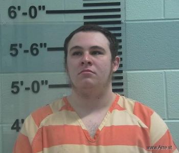 Robert Ray Mcguire Mugshot