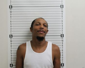 Robert Leon Ray Jr Mugshot