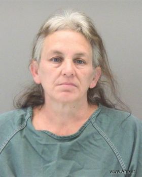 Robin Lynn Jones Mugshot