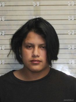 Ronaldo Morales Vasquez Mugshot