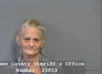 Ruth Annette Sampsel Mugshot