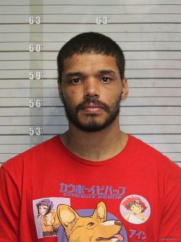 Ryan James Henry Mugshot