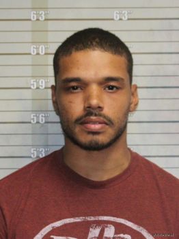 Ryan James Henry Mugshot