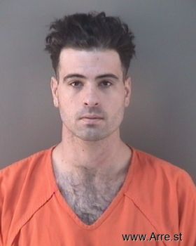 Ryan Michael Snyder Mugshot