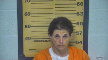 Sandra Diane Hall Mugshot