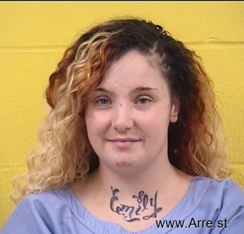 Sarah E Johnson Mugshot