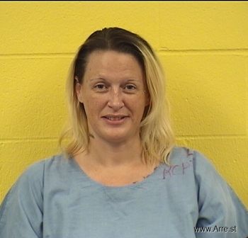 Sarah E Snyder Mugshot