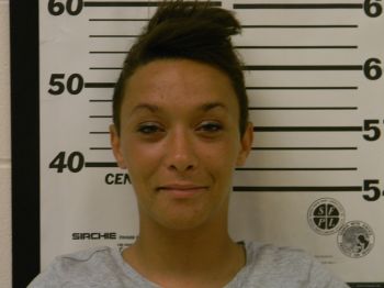 Sheena L Allison Mugshot