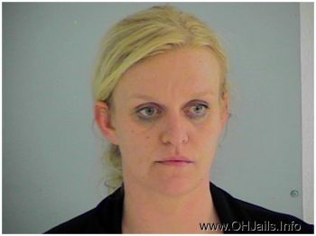 Sherry Ann Roberts-robinson Mugshot