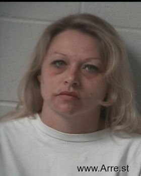 Susan Lynn Bradford Mugshot