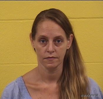 Susan Elaine Snyder Mugshot