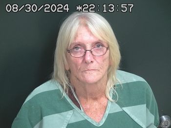 Sally Ann Chambers Mugshot