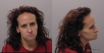 Sally J Schneider Mugshot