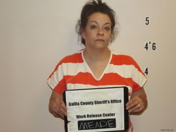 Samantha  Meade Mugshot