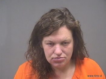 Sandra Nicole Stanley Mugshot