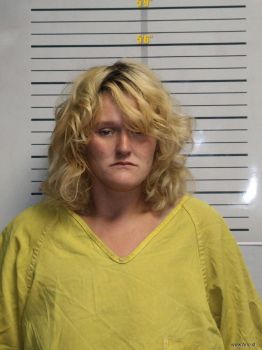 Sara Lynn Snyder Mugshot