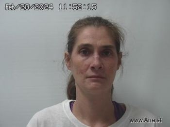 Sara  Vanhorn Mugshot