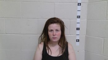 Sarah E Allen Mugshot