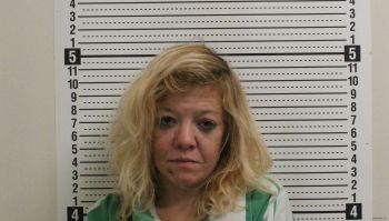 Sarah Miranda Boyer Mugshot