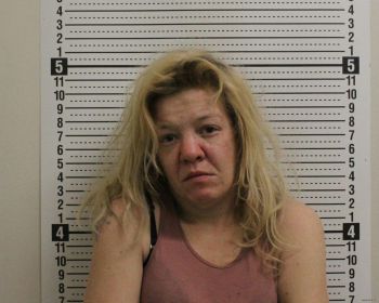 Sarah Miranda Boyer Mugshot