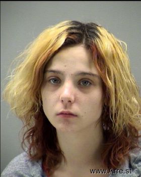 Sarah Elizabeth Johnson Mugshot