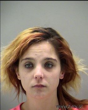 Sarah Elizabeth Johnson Mugshot