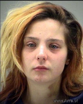 Sarah Elizabeth Johnson Mugshot