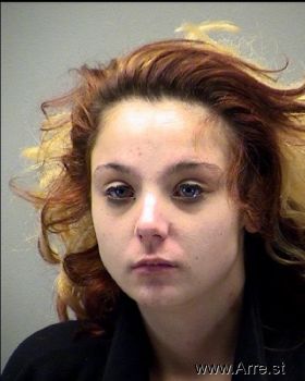 Sarah Elizabeth Johnson Mugshot