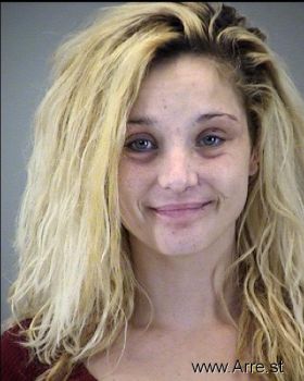 Sarah Elizabeth Johnson Mugshot