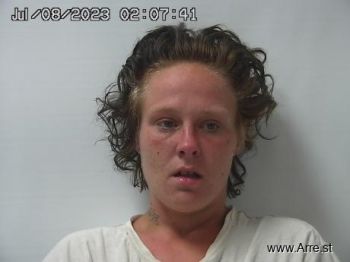 Sarah  Mitchem Mugshot