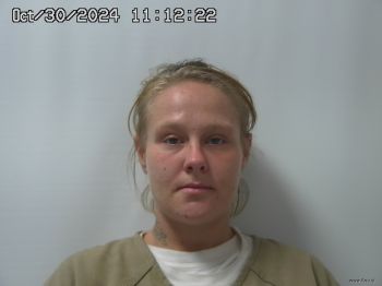 Sarah  Mitchem Mugshot